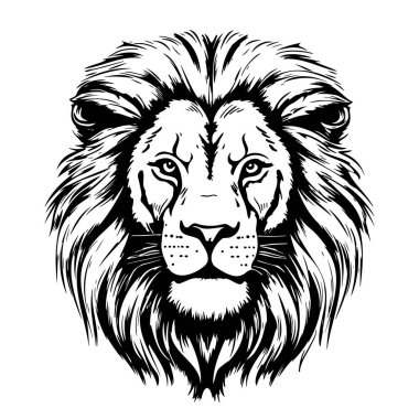 Aslan portresi aslan başı çizim el oyma stili Vahşi Hayvan Vektör illüstrasyonu