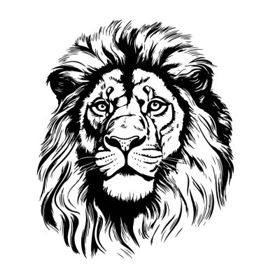 Aslan. Sketchy, grafiksel, siyah beyaz bir aslan başı portresi beyaz arka planda.