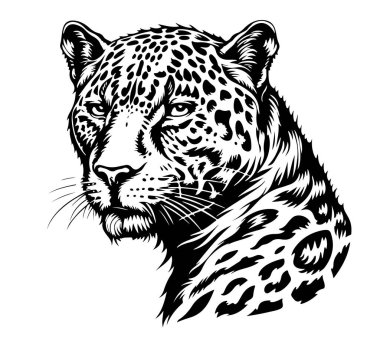 Leopar kafa. Siyah beyaz grafik. Beyaz izole arkaplanda vektör illüstrasyonu. Paketleme, dövme ve tişört tasarımları için iyidir..