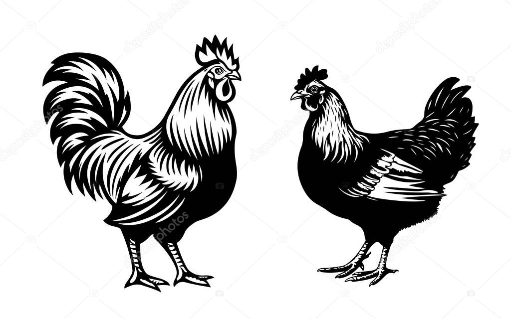 Chicken, hen, rooster cartoon domestic poultry farm animal collection.