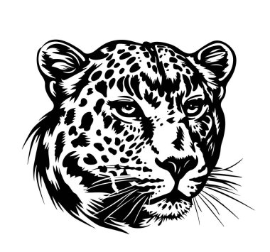 Leopar kafa. Siyah beyaz grafik. Beyaz izole arkaplanda vektör illüstrasyonu. Paketleme, dövme ve tişört tasarımları için iyidir..