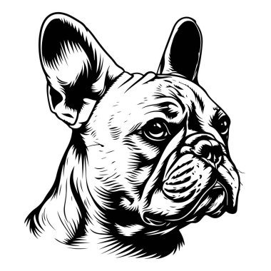 Tatlı Fransız bulldog skeci. Vektör illüstrasyonu