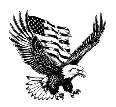 Amerikan bayrağı ve uçan kartal vektör illüstrasyonu