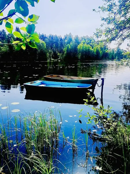 Güneşin doğuşuyla gölde yüzen bir tekne çimlerin arasında.. 
