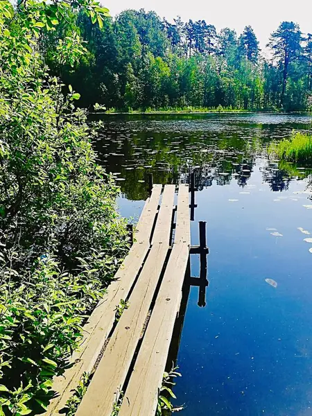 Şafakta göl kıyısında. Ön planda ahşap iskele. Arka planda orman var. Sudaki yansıma. Ekolojik tatil köyü, balık tutma, banyo. Yaz başları. 