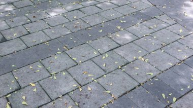 Arkaplan veya doku için düşen yapraklara sahip gri asfalt döşeme taşı