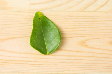 kireç yaprağı ahşap arkaplanda izole