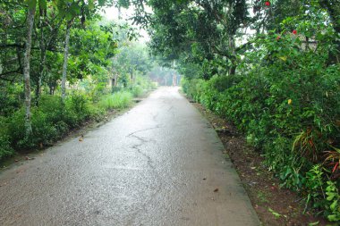 Sabah ıssız bir yol