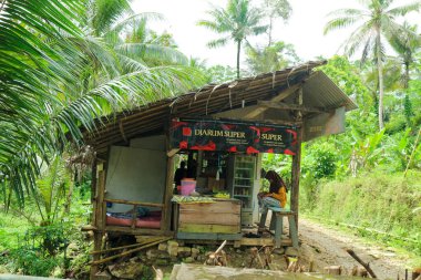 Pangandaran, Endonezya - 30 Ekim 2022: Rumah panggung veya ormandaki bir stilt ev veya geleneksel bina