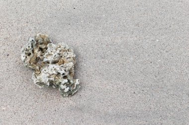 Mercan kayalıkları, mercan resifleri kumsalda izole edilmiş.