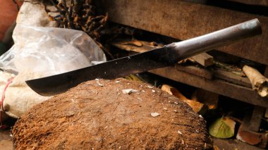 Ormana saplanmış keskin bir pala