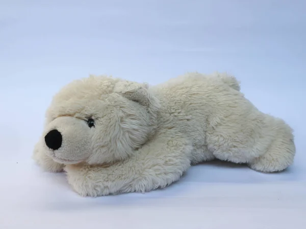 Toy polar bear doll in on an isolated cold background
