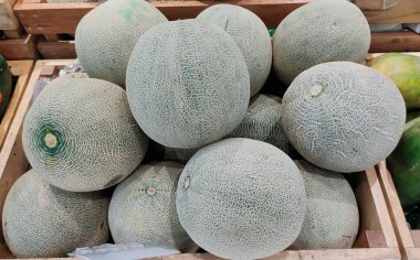 Taze yeşil kavun yığını