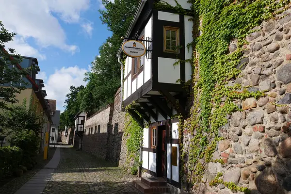 Wiekhaus und Ranken an der Stadtmauer von Neubrandenburg