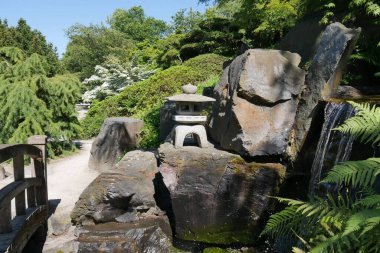 Japonische Laterne im Japonischen Garten mit Hartriegel im Hintergrund