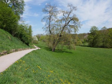 Weimar einer Parkanlage 'daki Ilmpark Meyvesi