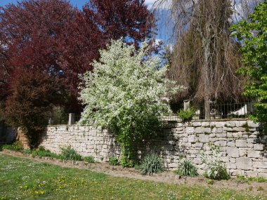 Weimar 'da bir Villa Haar am Ilmpark bahçesinde.