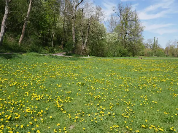 stock image Ilmpark im Frhling in Weimar