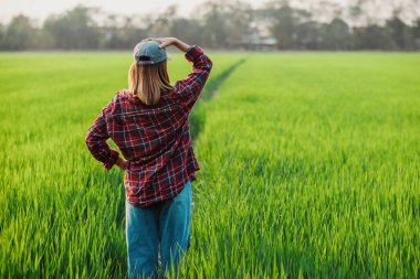 Dalgın bir çiftçinin gün batımında yeşil pirinç tarlalarının engin genişliğine baktığı arka plan..