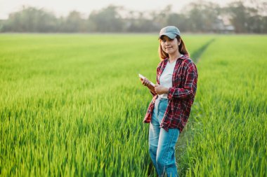 Kendine güvenen dişi çiftçi tabletini taze, yeşil ekinlerin arasında kullanıyor, tarım ve teknolojinin karışımını sergiliyor..