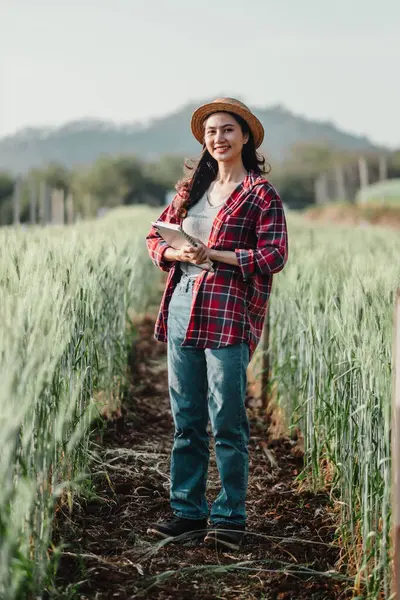 Mujer Agricultora Feliz Con Cuaderno Medio Trigo Alto Con Sombrero Fotos de stock libres de derechos