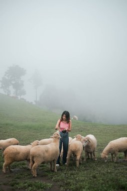 Bir kadın sisli, yeşil bir çayırda koyunların arasında duruyor. Huzurlu ve huzurlu bir kırsal manzara yaratıyor..