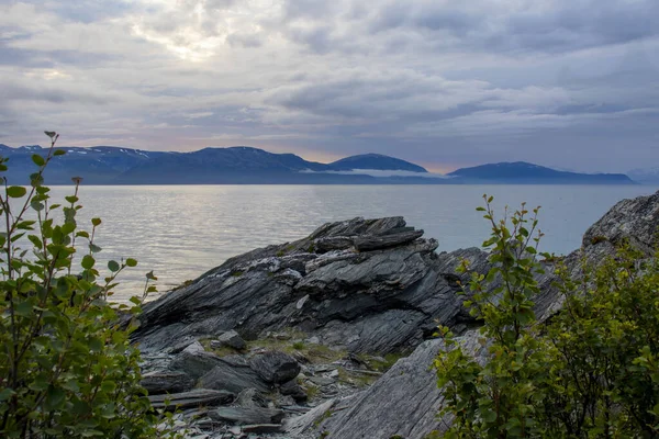 Скеляста Бухта Норвезькому Фіорді — стокове фото