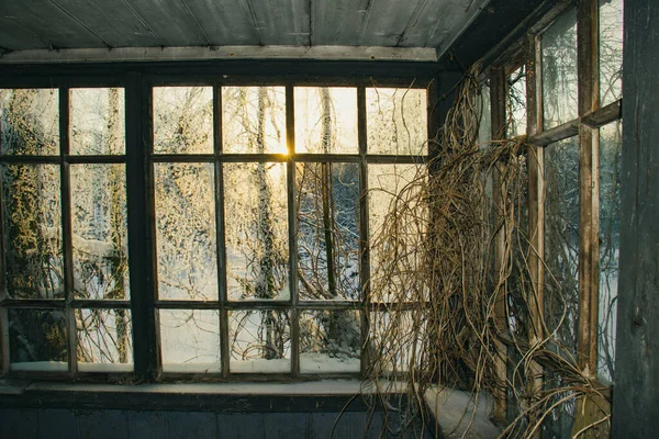 Kışın soğuk pencereli terk edilmiş eski bir evin verandası.
