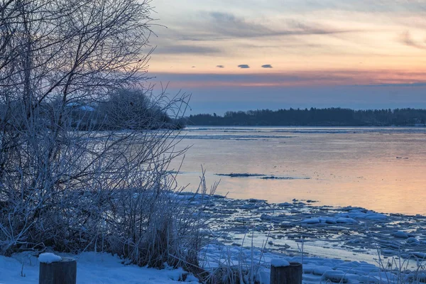 Trees on the river bank in winter. Ice on the river. Snowy morning