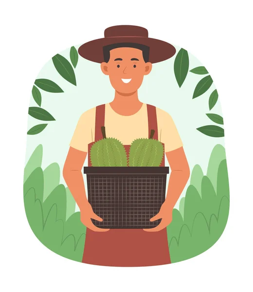 Asyalı Çiftçi Tropikal Meyve Bahçesinden Taze Organik Durian Hasadı