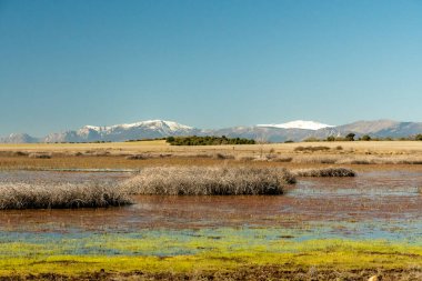 Karla kaplı dağlar, bereketli bitki örtüsü ve durgun sularla dolu huzurlu sulak alanların üzerinde görkemli bir şekilde yükselir..