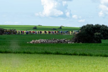 Bir grup bisikletçi, bir yarışa katılırken parlak bir gökyüzü altında yemyeşil alanlar boyunca yol alır..