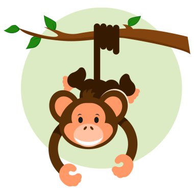 maymun asılı halat