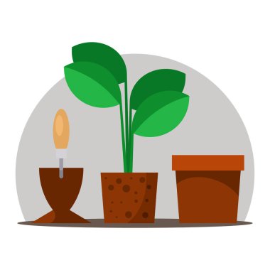 Saksıda ev bitkisi, vektör illüstrasyonu