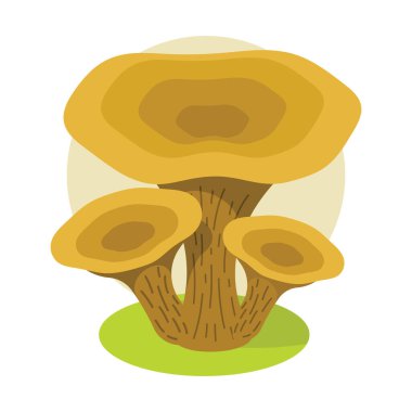 mantar, vektör çizimi, düz tasarım