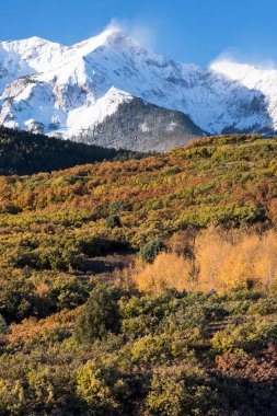 Sneffels Dağı sıradağları taze sonbahar karı ile birlikte. Aspen, Pine and Scrub Oak renkli arkaplana eklenir. 