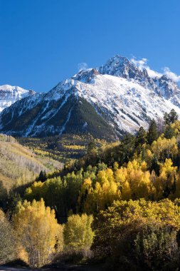 Sneffels Dağı sıradağları taze sonbahar karı ile birlikte. Aspen, Pine and Scrub Oak renkli arkaplana eklenir. 