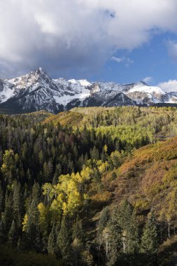 Sneffels Dağı sıradağları taze sonbahar karı ile birlikte. Aspen, Pine and Scrub Oak renkli arkaplana eklenir. 