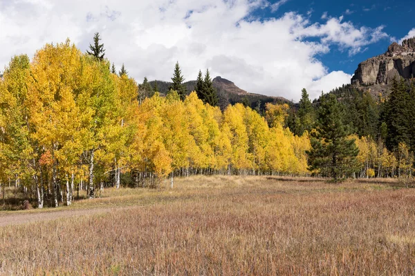 Autumn Gold Cimarrona Valley Mountain Peaks Dominating Horizon Located San — Stock Photo, Image
