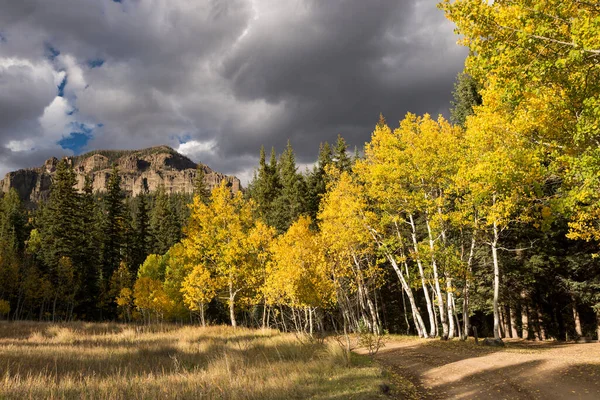 Cimarrona Camping Ligger Norr Pagosa Springs Colorado Med Weminuche Wilderness — Stockfoto