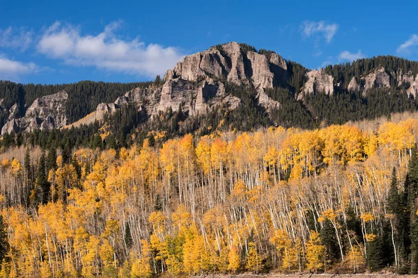 Golden Aspen Cimarron River Valley Southwestern Colorado — Stock Photo, Image