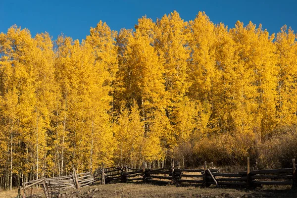 Ett Trähus Torkat Färgglad Höst Landskap Cimarron Valley Colorado — Stockfoto