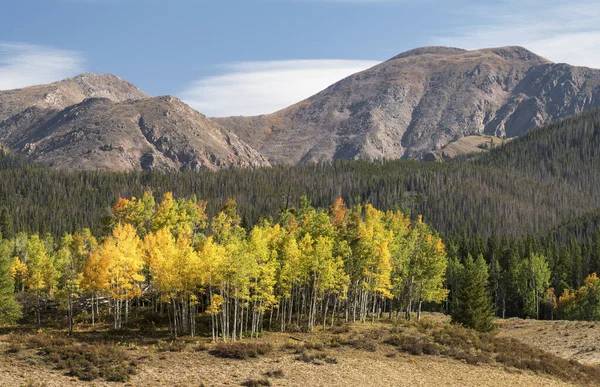 Fall Rawah Mountain Range Norra Colorado Lewis Peak Som 654 — Stockfoto