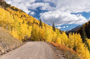 Güney Colorado 'daki Rio Grande Ulusal Ormanı' nda sonbaharın başlarında bir orman servis yolu ziyaretçileri çeşitli renkli yeşilliklerden geçirir..