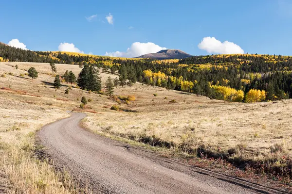 stock image A forest service road leads to Del Norte Peak with changing aspen trees. Located near South Fork Colorado in the Rio Grande National Forest.