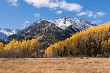 Kar yağışı 12 bin 560 feet yükseklikte, Greg Mace Tepesi Aspen Colorado yakınlarındaki Elk Dağları 'nın bir parçası olan Beyaz Nehir Ulusal Ormanı' nda, sonbaharın başlarında renkli çayırların üzerinde yükselir..