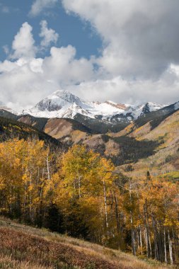 Karla kaplı, 13.300 feet yüksekliğinde. Daly, Karlı Colorado yakınlarında. Aspen bölgesinin dışındaki turistik bir yer olan dramatik manzaralarla dolu renkli bir kavak ağacı..   