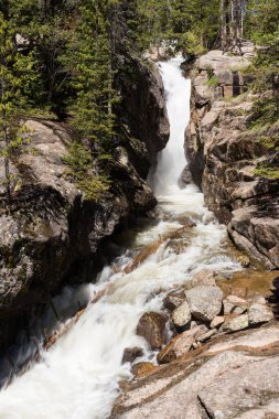 Colorado 'daki Rocky Mountain Ulusal Parkı' ndaki Chasm Falls 'un geç bahar manzarası. Fall River 'ın dramatik hareketi, yüksek dağlardan eriyen karlar Chasm Şelaleleri' nin dinamiklerine ekleniyor..