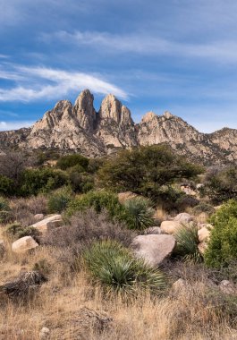 Dramatic early morning light on the Organ Mountains-Desert Peaks National Monument. The steep and angled spires rise above the Chihuahuan Desert Plain. clipart