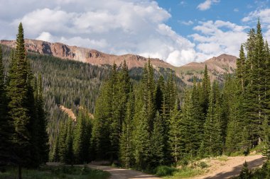 Temmuz 'un ortalarında Crags Kamp Alanı' ndan 12,040 Foot Toot Iron Mountain izlendi. Kuzey Colorado 'daki Eyalet Ormanı Eyalet Parkı' nda yer alan yüksek dağ zirveleriyle çevrili Crags Kamp alanı.